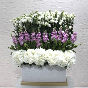 White and pink elegance (أناقة الأبيض والوردي)