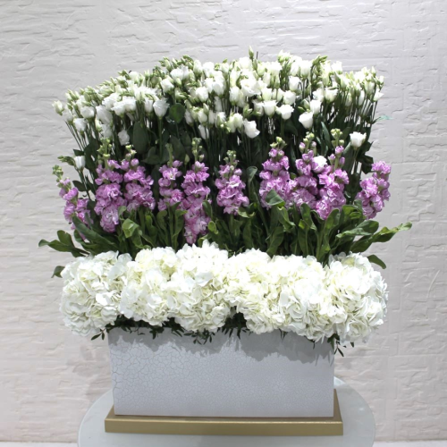 White and pink elegance (أناقة الأبيض والوردي)