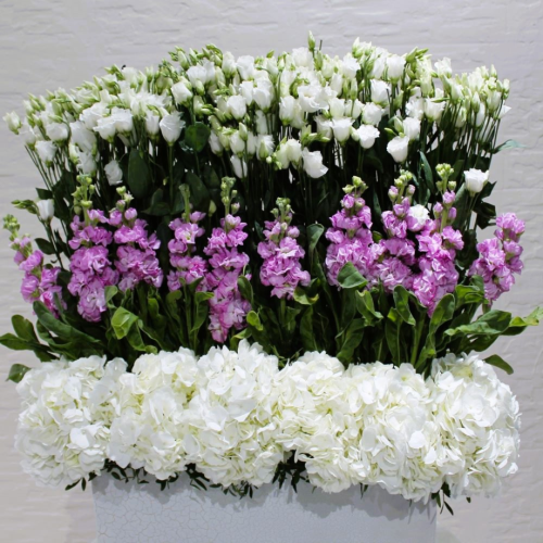 White and pink elegance (أناقة الأبيض والوردي)