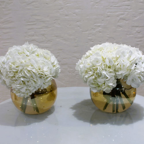 Hydrangea twins (توأم الكوبية)