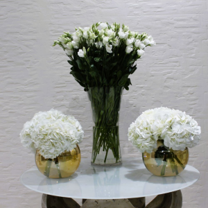 Combo white (كومبو أبيض)