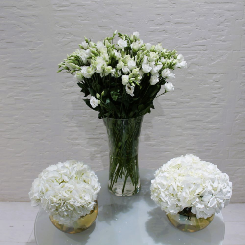 Combo white (كومبو أبيض)