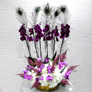 Purple in white garden (الأرجواني في حديقة بيضاء)