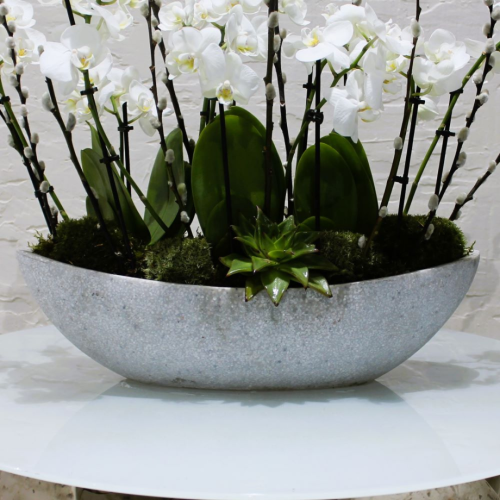 Mini orchids Boat (قارب الأوركيد الصغير)