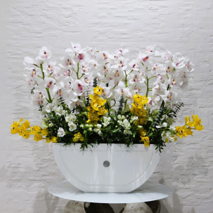 Cymbidium zoom (تكبير سيمبيديوم)