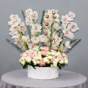 Cymbidium garden (حديقة السيمبيديوم)