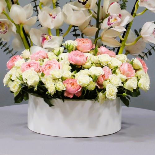 Cymbidium garden (حديقة السيمبيديوم)