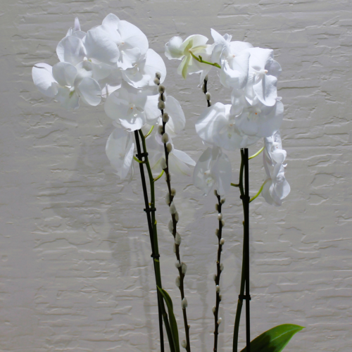 White square (مربع أبيض)