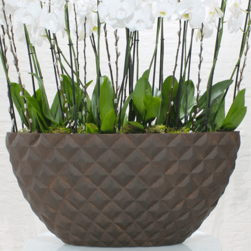 Orchid VIP (الأوركيد VIP)