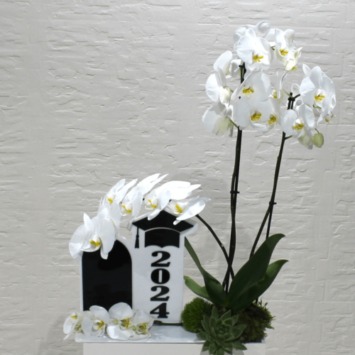 Graduation bouquets (باقات تخرج)