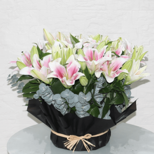 Lovly Pink Lilie's-2 (ماثيولا الجولة الثانية)