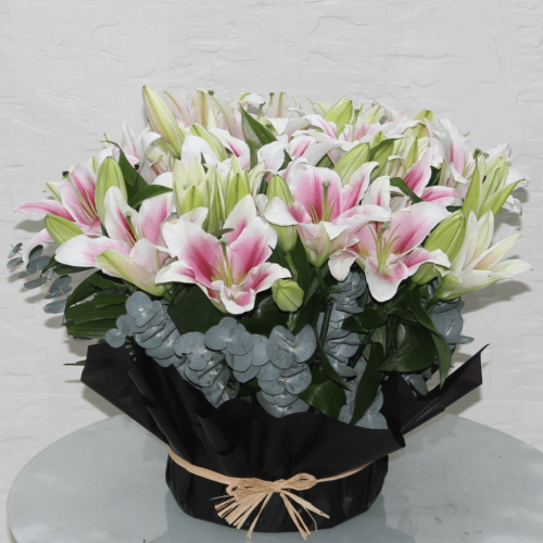 Lovly Pink Lilie’s-2 (ماثيولا الجولة الثانية)