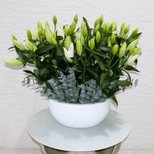 Lilies bouquets (باقات الزنابق)