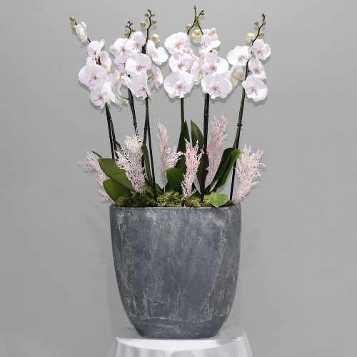 Lite Pink Orchid Shadow (لايت بينك أوركيد شادو)