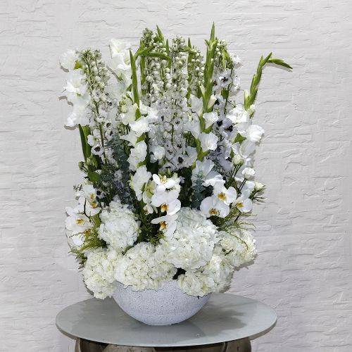 Splashy White (سبلاشي وايت)