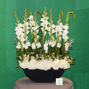 Crystal White(كريستال وايت)