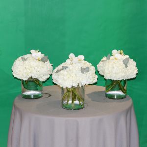Trio Hydrangeas (ثلاثي الهدرانج)