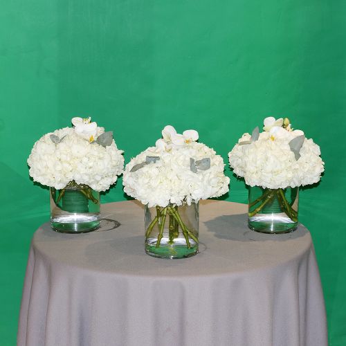 Trio Hydrangeas (ثلاثي الهدرانج)