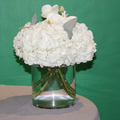 Trio Hydrangeas (ثلاثي الهدرانج)