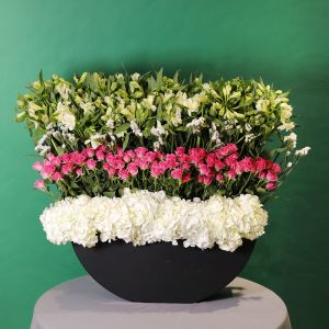 Lovely Mix(مزيج جميل)