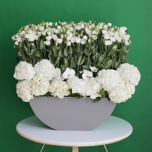 Beauty Eustoma(جمال يوستوما)