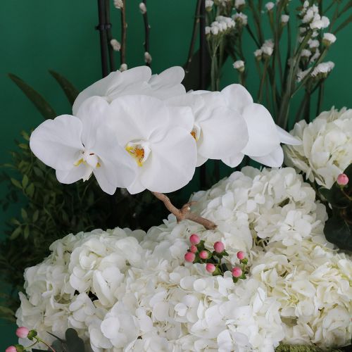 Classical Garden(حديقة كلاسيكية)