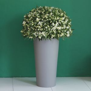 Surprised Alstroemeria(ألستروميريا مندهشة)