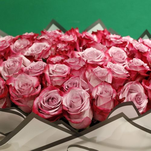 Lovely Bouquets(باقات جميلة)