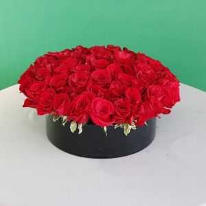 Round Roses(الورود المستديرة)