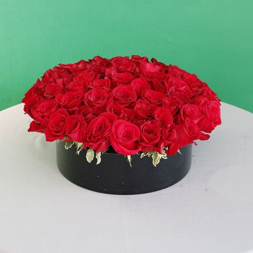 Round Roses(الورود المستديرة)