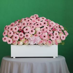 Pink Lover(عاشق الوردي)