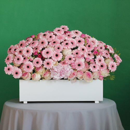 Pink Lover(عاشق الوردي)