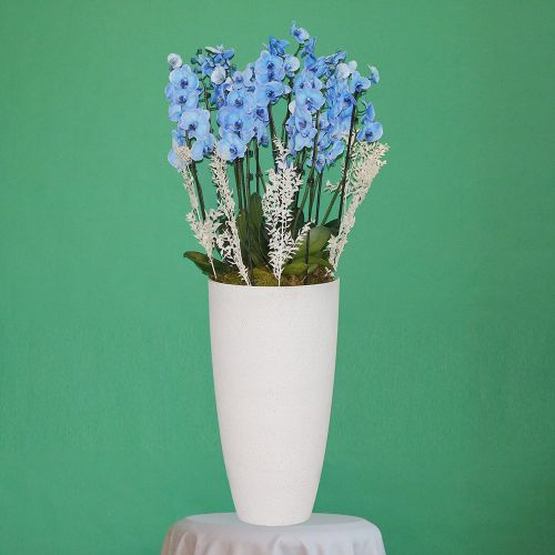 Magic Blue Orchid(الأوركيد الأزرق السحري)