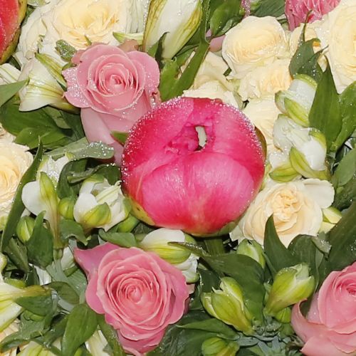 Colorful Arrangement-2(ترتيب ملون-2)