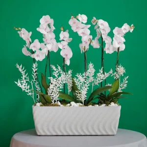 Special Pink(وردي خاص)