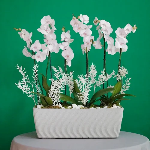 Special Pink(وردي خاص)