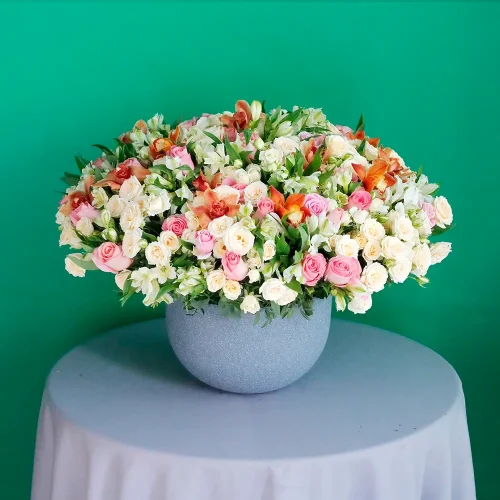 Shadow Colorful(شادو ملون)