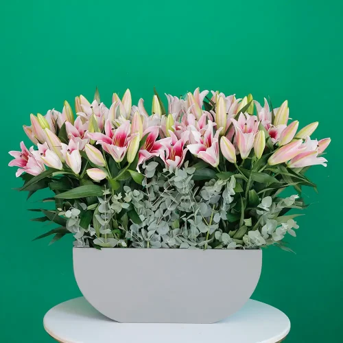 Classical Pink Lilies(الزنابق الوردية الكلاسيكية)