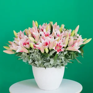 Opera Pink Lilies(أوبرا الزنابق الوردية)