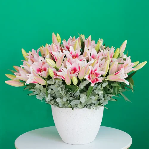 Opera Pink Lilies(أوبرا الزنابق الوردية)