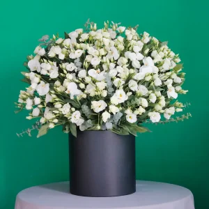 One Face Lisianthus(ليزانثوس ذو وجه واحد)