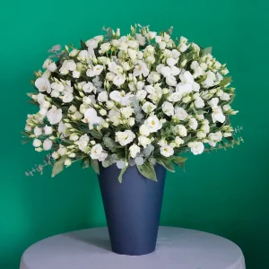 One Face Lisianthus-2(ليزانثوس ذو وجه واحد-2)