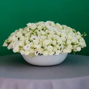 Fancy White(فانسي وايت)