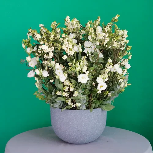 Simply The Best(ببساطة الأفضل)