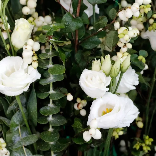 Simply The Best(ببساطة الأفضل)