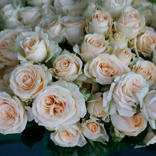 Rose Garden Bouquet(باقة حديقة الورود)