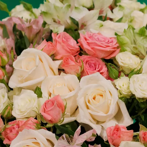 Colorful Value (القيمة الملونة)