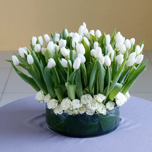 Unique White Tulip(توليب أبيض فريد من نوعه)