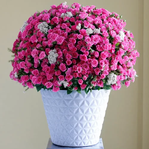 Pink round bouquets-4(باقات مستديرة وردية-4)