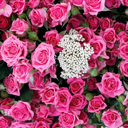 Pink round bouquets-4(باقات مستديرة وردية-4)